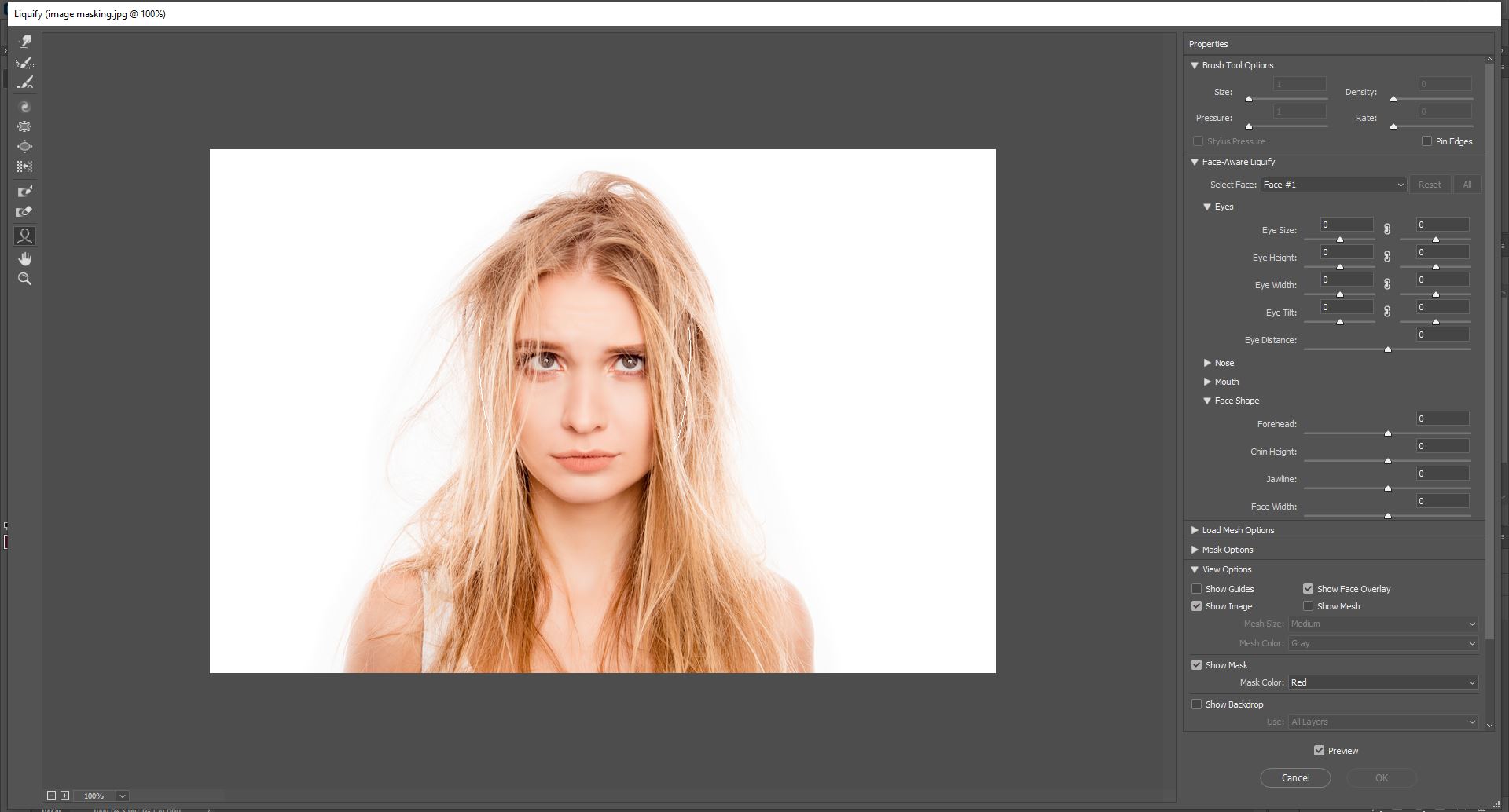 Liquify interface